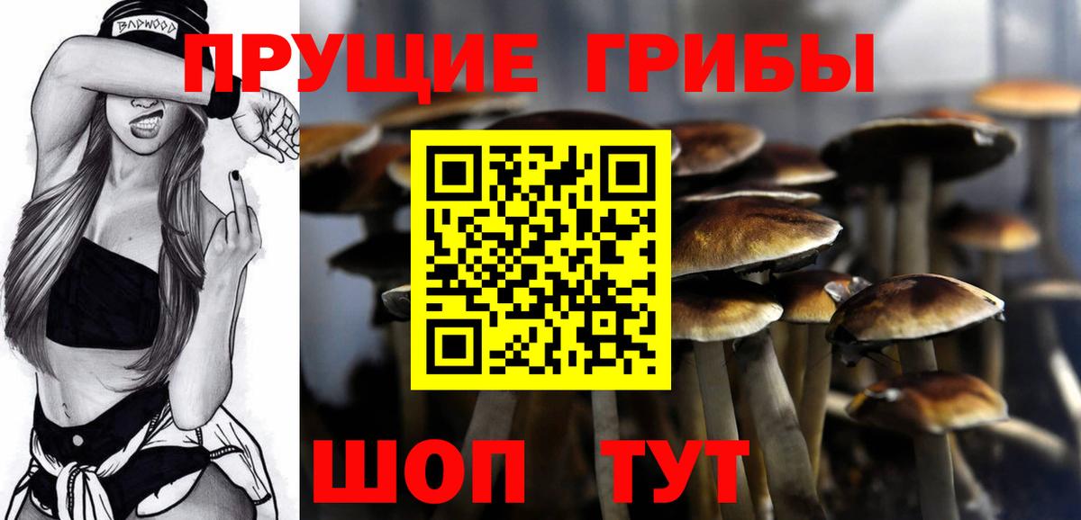 Галлюциногенные грибы GOLDEN TEACHER  где можно купить наркотик  Свободный  Галлюциногенные грибы прущие грибы  Вход с VPN 